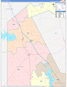 Live Oak County Wall Map Color Cast Style